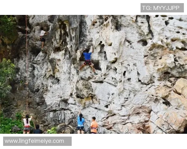 武汉攀岩队战术之争引发热议攀岩爱好者的不同声音与观点分析实时数据